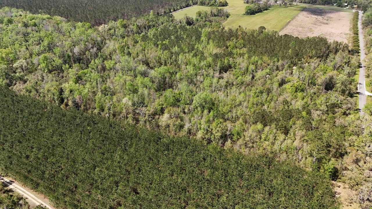 Vacant Attatulga Road, Lamont, FL 32336 Photo