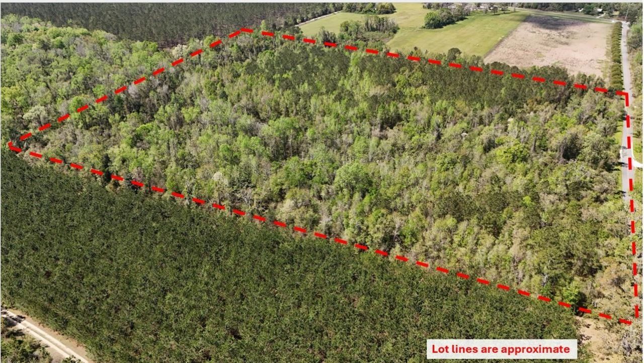 Vacant Attatulga Road, Lamont, FL 32336 Photo