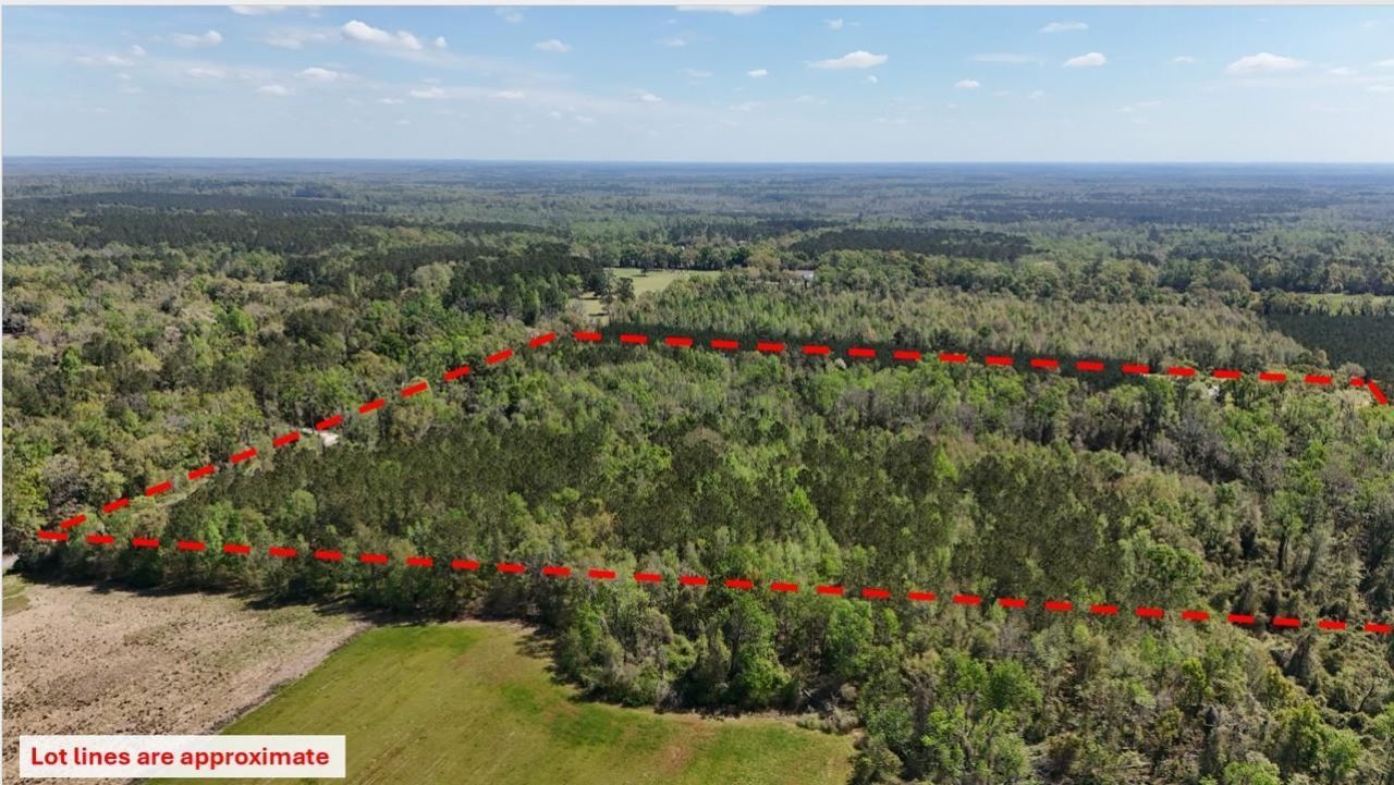 Vacant Attatulga Road, Lamont, FL 32336 Photo