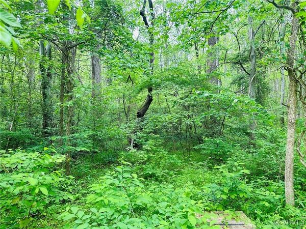 0 Pouncey Tract Road , Hanover, VA 23146