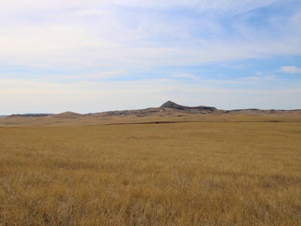 Parcel #33 CISCO LN, Caputa, SD 57725