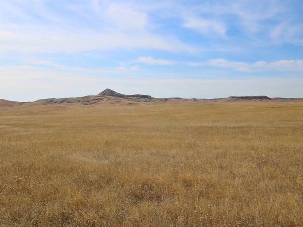 Parcel #34 CISCO LN, Caputa, SD 57725