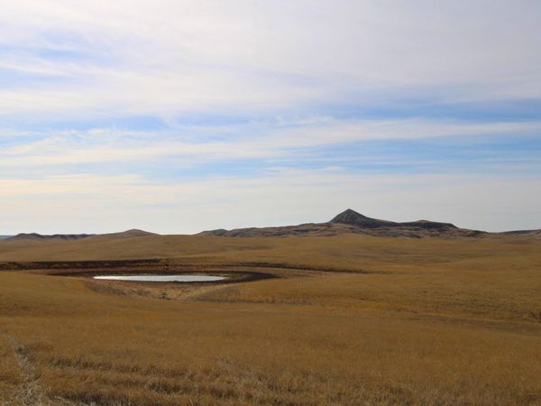 Parcel #37 CISCO LN, Caputa, SD 57725