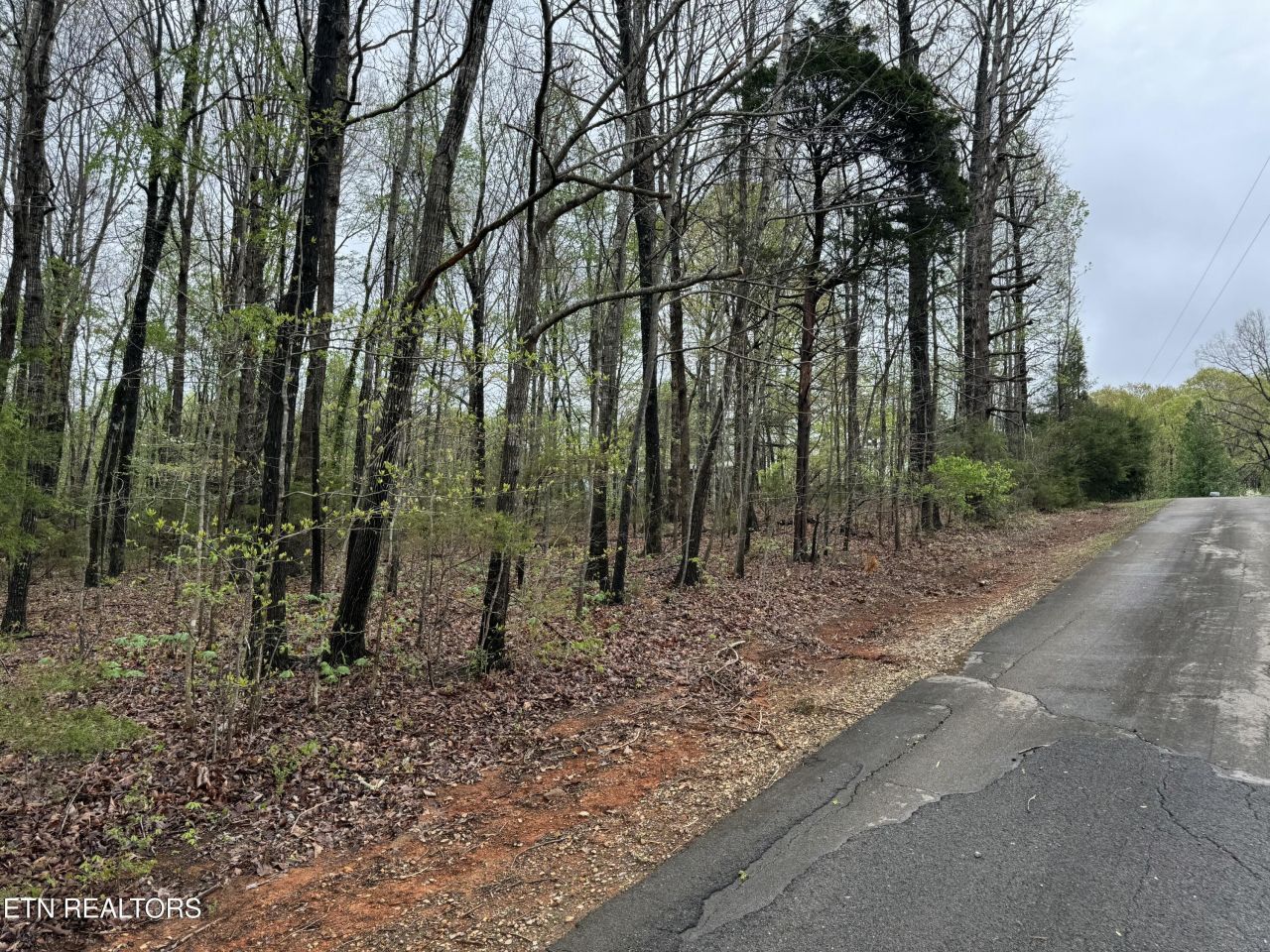 Taywell Drive, Madisonville, TN 37354 Main Photo