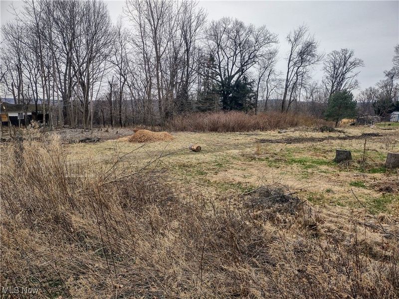 1308 Longstone Avenue, Akron, OH 44310 Photo 3