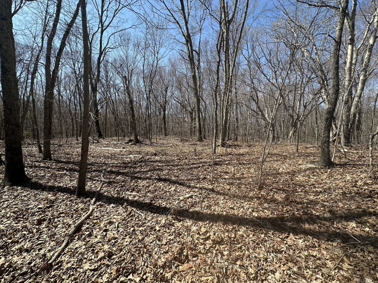 0 Cowles, Woodbury, CT 06798 Main Photo