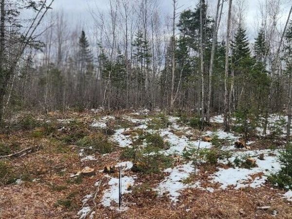 0000 Route 2, Greenbush, ME 04418