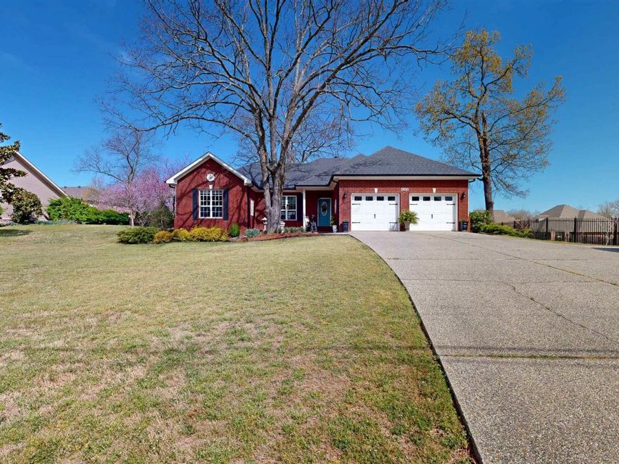 Property Image 41