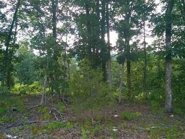 Lot104/105 Peach Orchard Hill Road, Cleveland, TN 37323