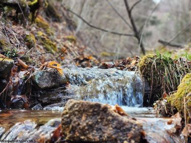 Lot 9 Harper Trail, Valley Bend, WV 26293