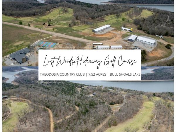 000 Country Club Drive, Theodosia, MO 65761