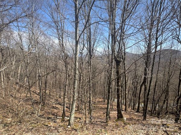 14 & 16 Overlook Drive, Mars Hill, NC 28754