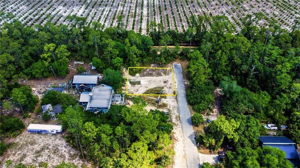 2321 Leroy Ave, Alva, FL 33920 Photo