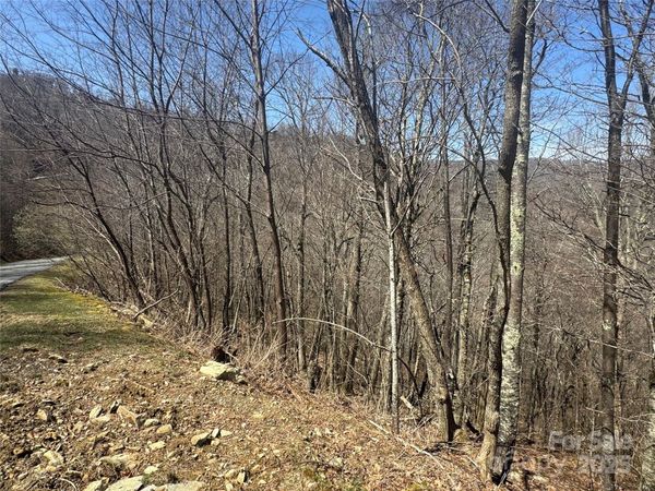 53 & 55 Running Cedar Drive, Mars Hill, NC 28754