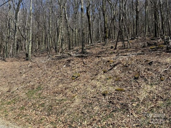 244 & 245 Grouse Thicket Lane, Mars Hill, NC 28754