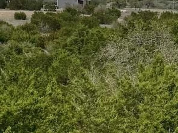 3679 Duderstadt RD, Harper, TX 78631