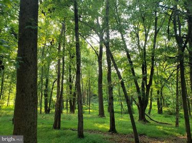 748 KENTLAND DRIVE, GREAT FALLS, VA 22066