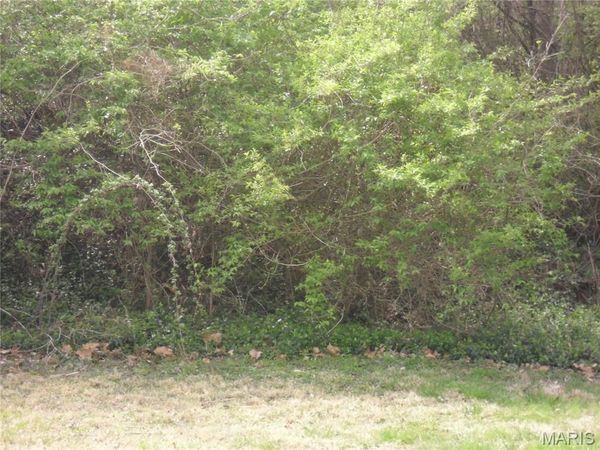 100 S 98th Street, Belleville, IL 62223