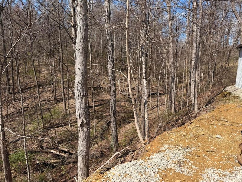 7285 Bohemian Road SE, Corning, OH 43730 Photo 35