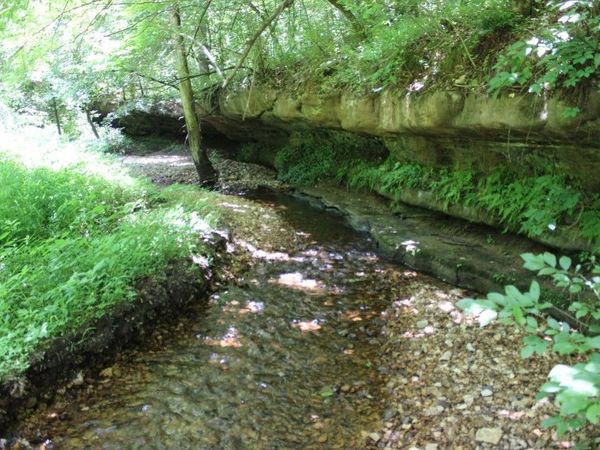 3841 Tall Oaks Lane, Harrison, AR 72601