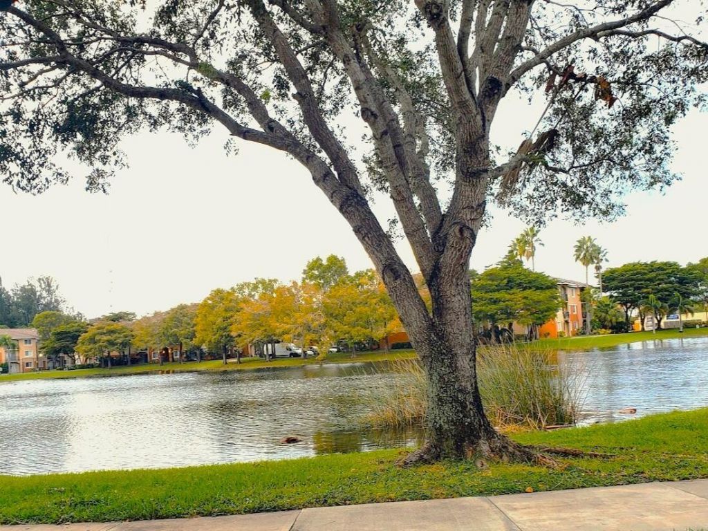 4151 N Haverhill Road, Unit 1505, West Palm Beach, FL 33417 Photo