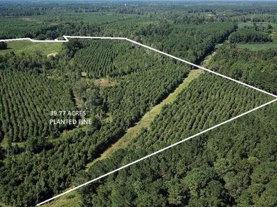 00 Fralix, Smoaks, SC 29481