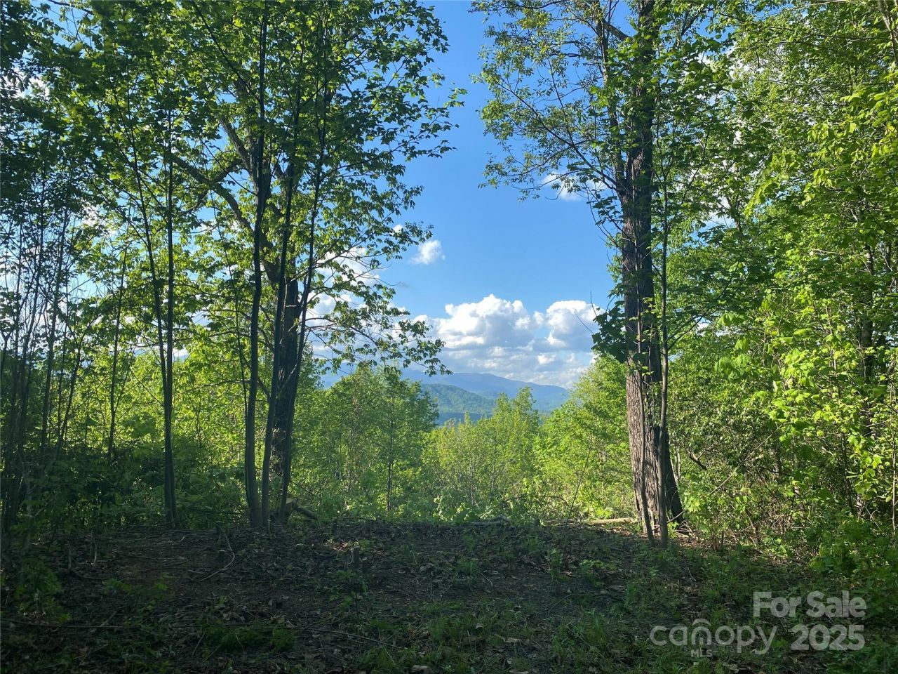 1099 Mitchell View Drive, Old Fort, NC 28762 Main Photo