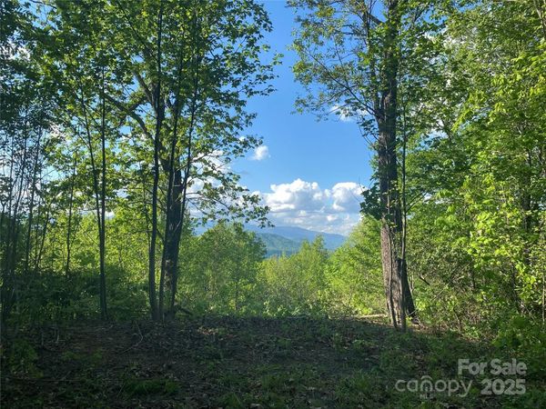 1099 Mitchell View Drive, Old Fort, NC 28762