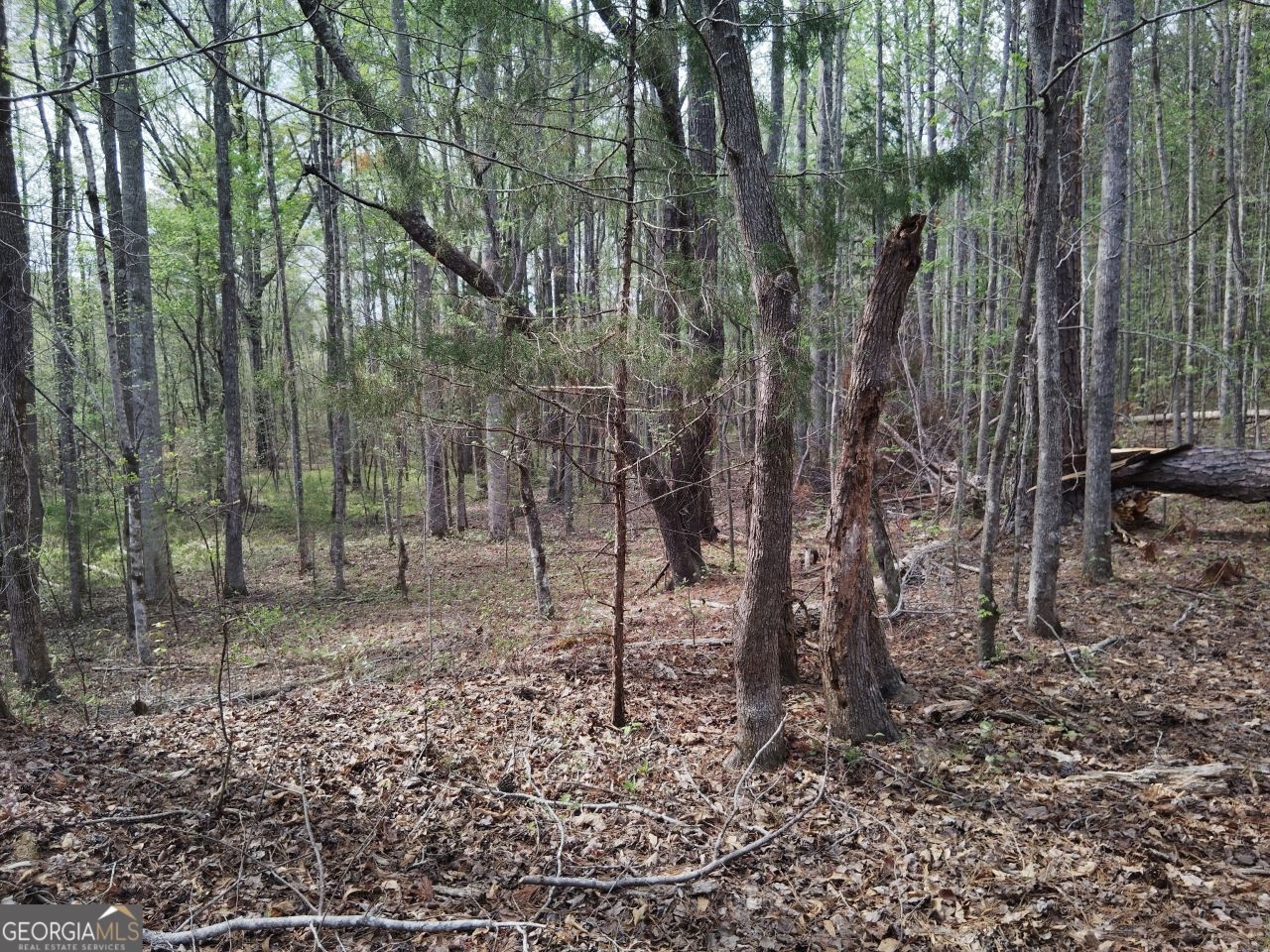 75 Lee Lane, Greenville, GA 30222 Main Photo