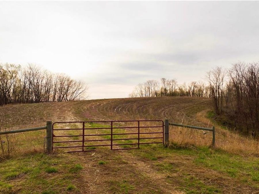 Property Image 18
