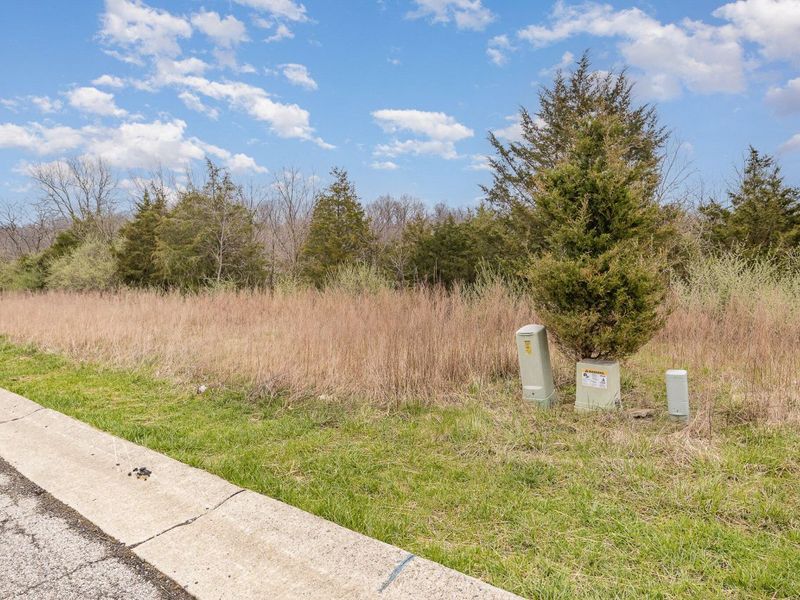 Lot 29 Saddlebrook Lane, Dry Ridge, KY 41035 Photo 11