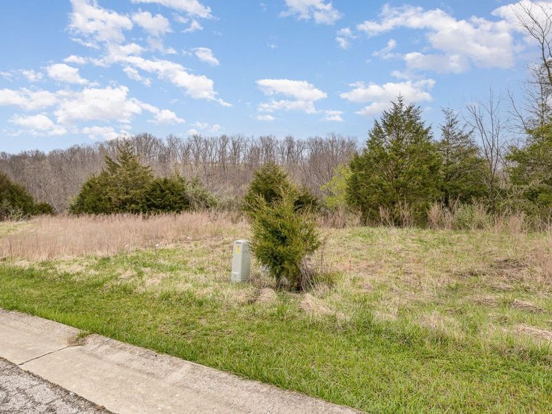 Lot 29 Saddlebrook Lane, Dry Ridge, KY 41035 Photo 12