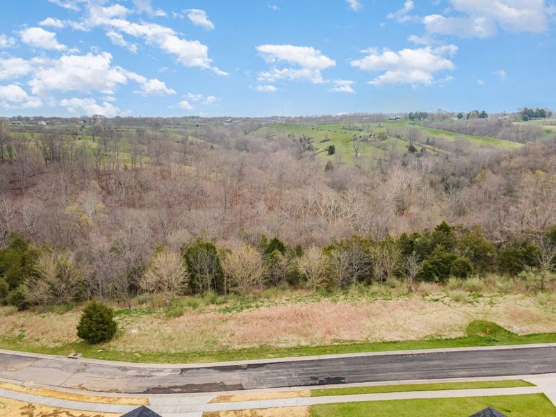 Lot 29 Saddlebrook Lane, Dry Ridge, KY 41035 Photo 13