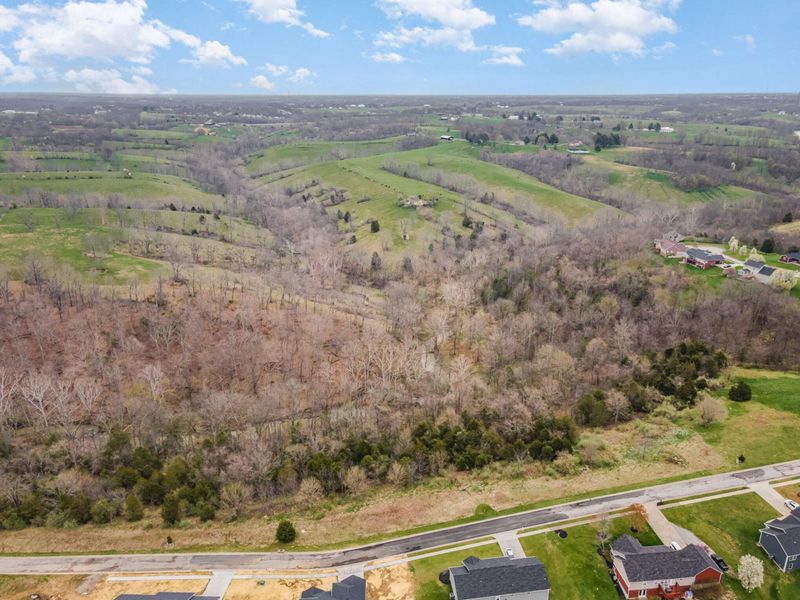 Lot 29 Saddlebrook Lane, Dry Ridge, KY 41035 Photo 4