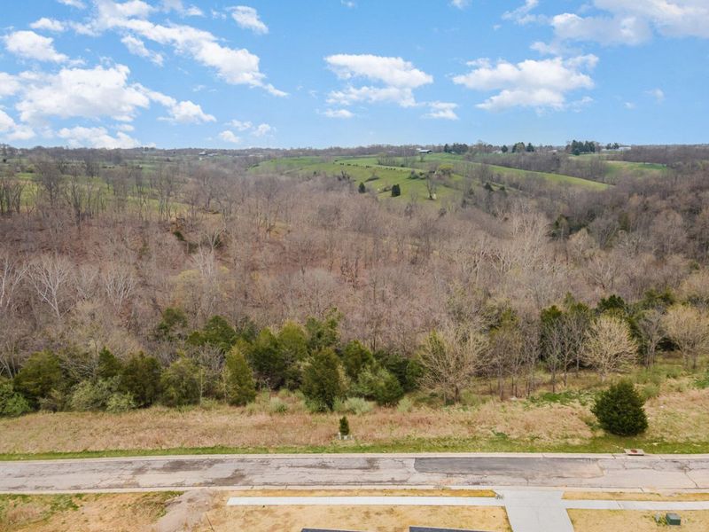 Lot 30 Saddlebrook Lane, Dry Ridge, KY 41035 Photo 14