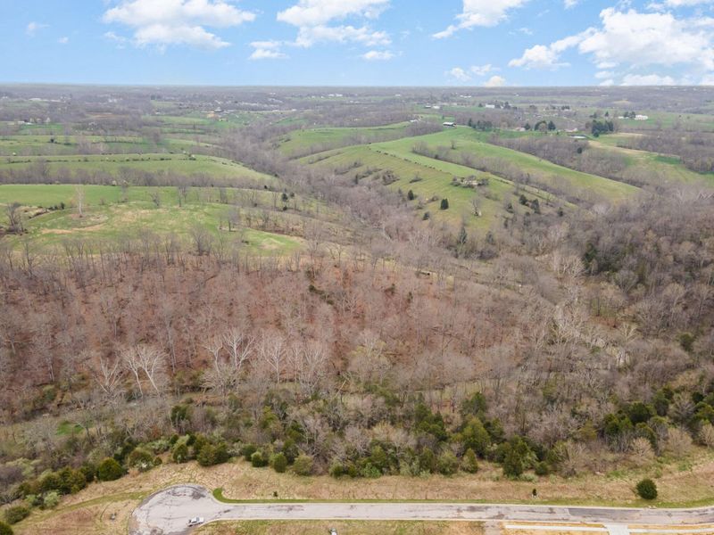 Lot 31 Saddlebrook Lane, Dry Ridge, KY 41035 Photo 14