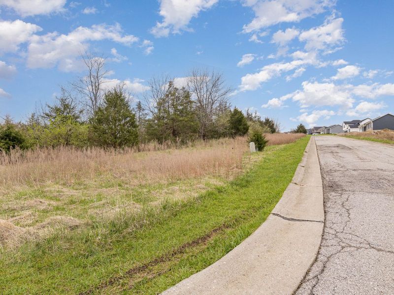 Lot 31 Saddlebrook Lane, Dry Ridge, KY 41035 Photo 3