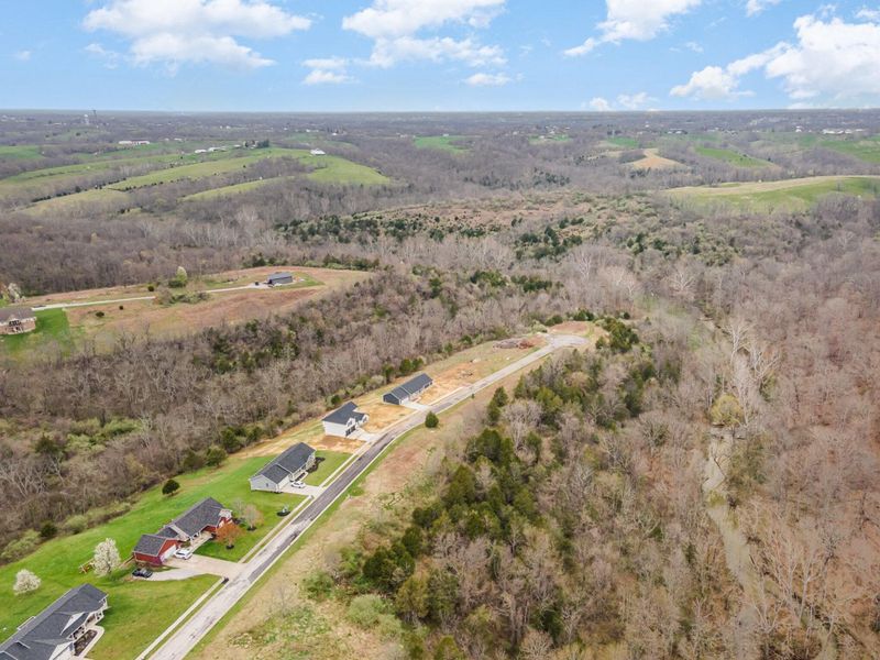 Lot 32 Saddlebrook Lane, Dry Ridge, KY 41035 Photo 6