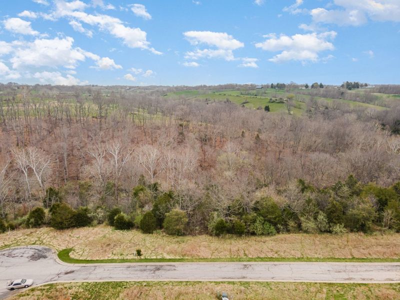 Lot 32 Saddlebrook Lane, Dry Ridge, KY 41035 Photo 9
