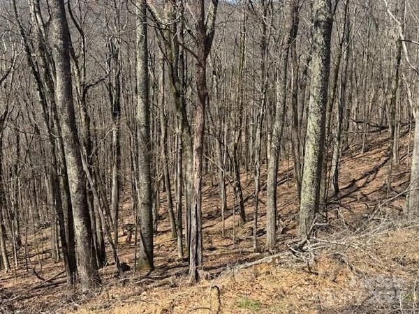 261 Grouse Thicket Lane, Mars Hill, NC 28754