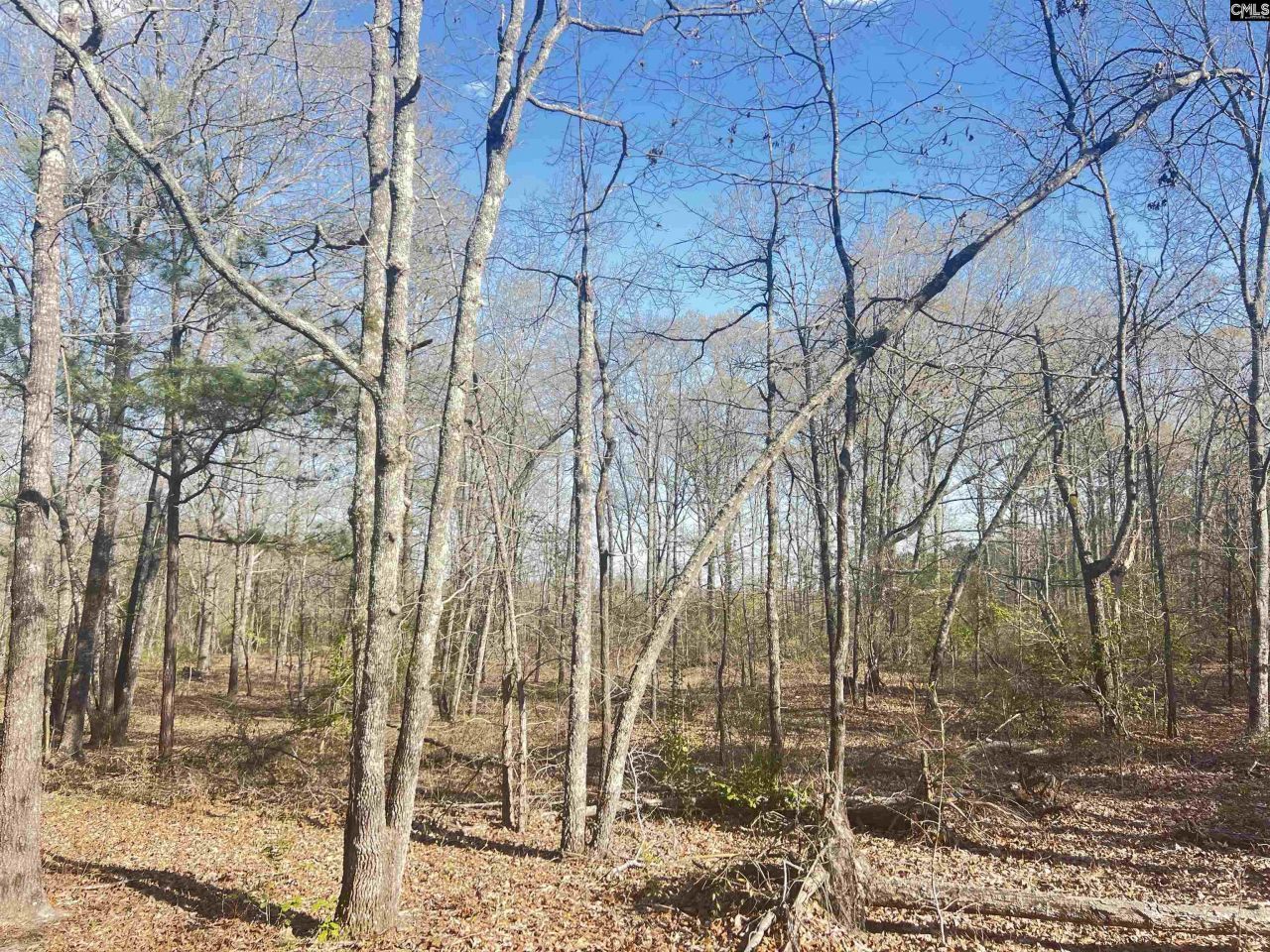 138 Riptide Road Photo 11