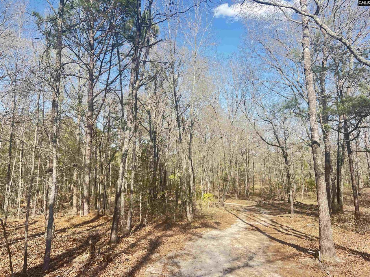 138 Riptide Road Photo 12