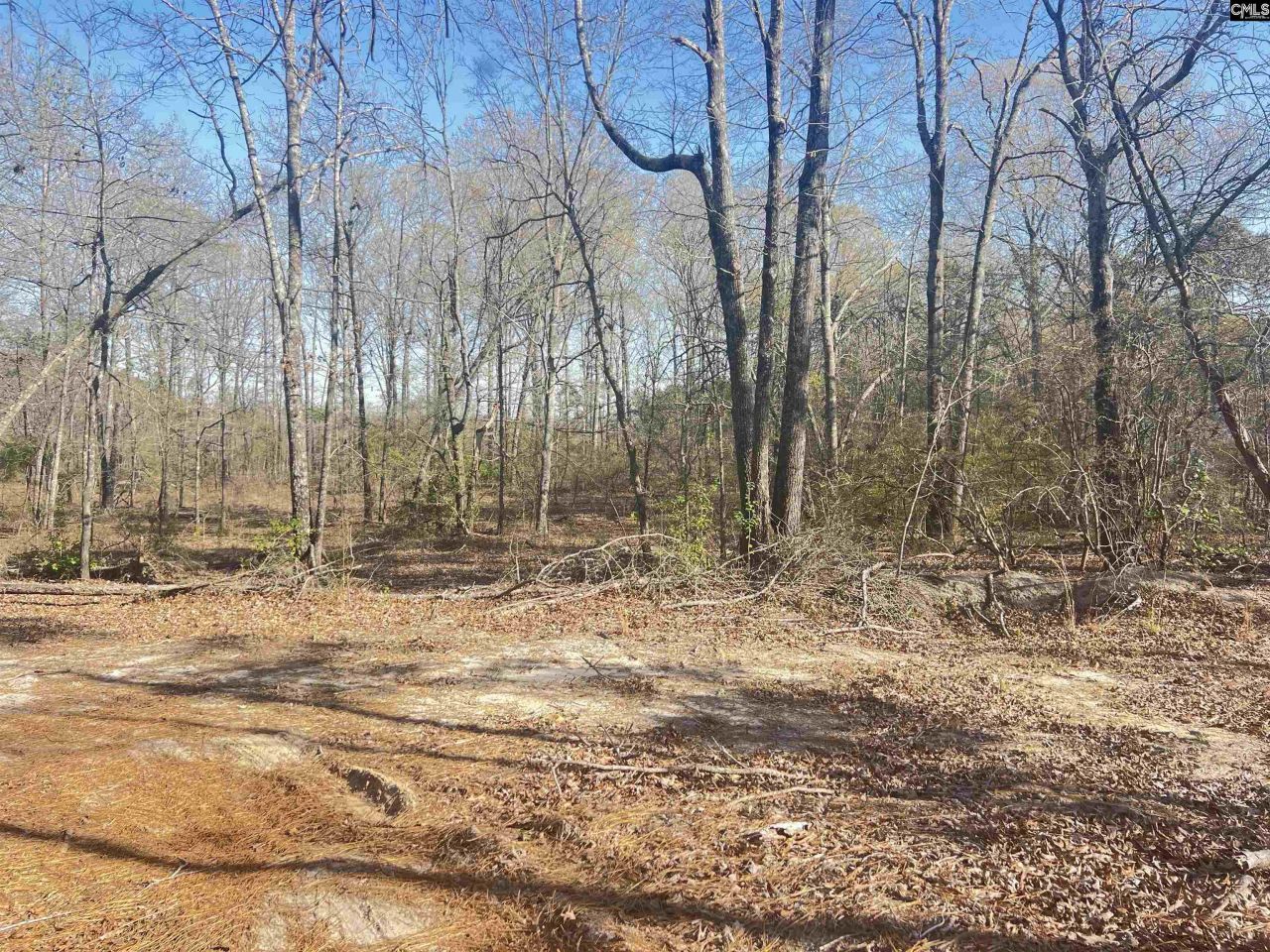 138 Riptide Road Photo 13