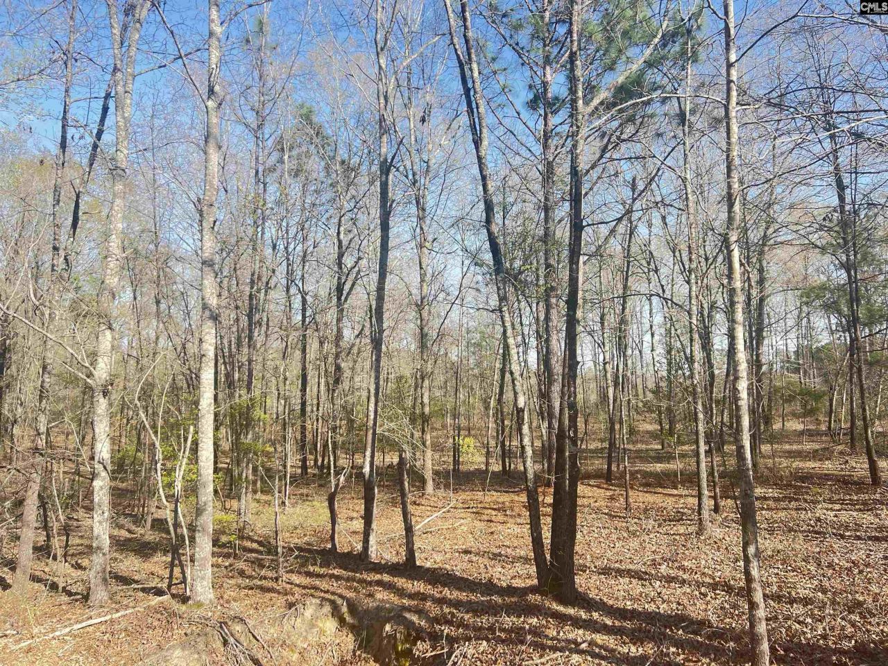 138 Riptide Road Photo 15