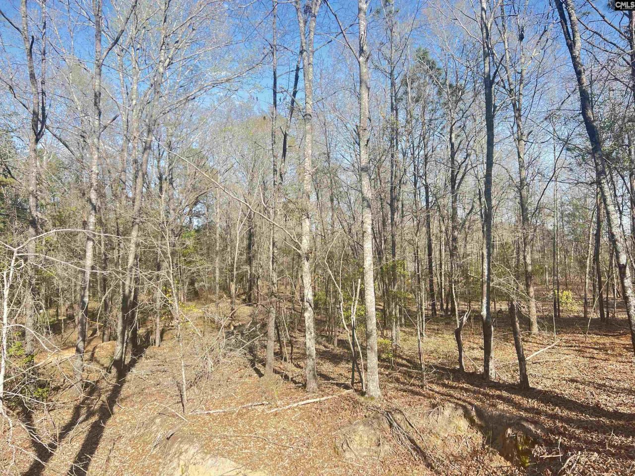 138 Riptide Road Photo 16