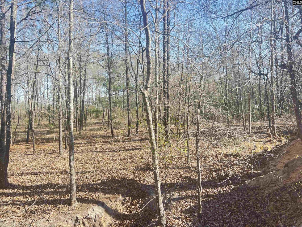 138 Riptide Road Photo 17