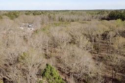 138 Riptide Road photo 4