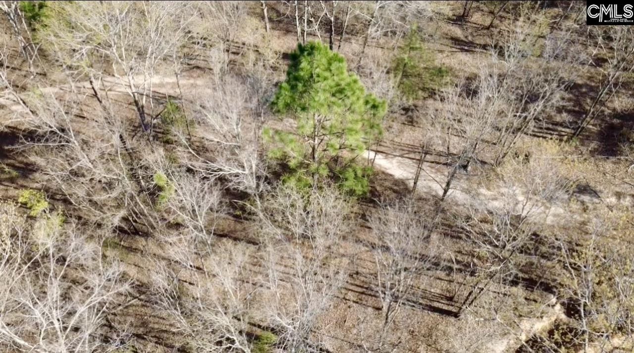 138 Riptide Road Photo 21