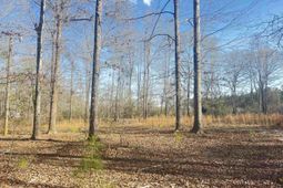 138 Riptide Road photo 4