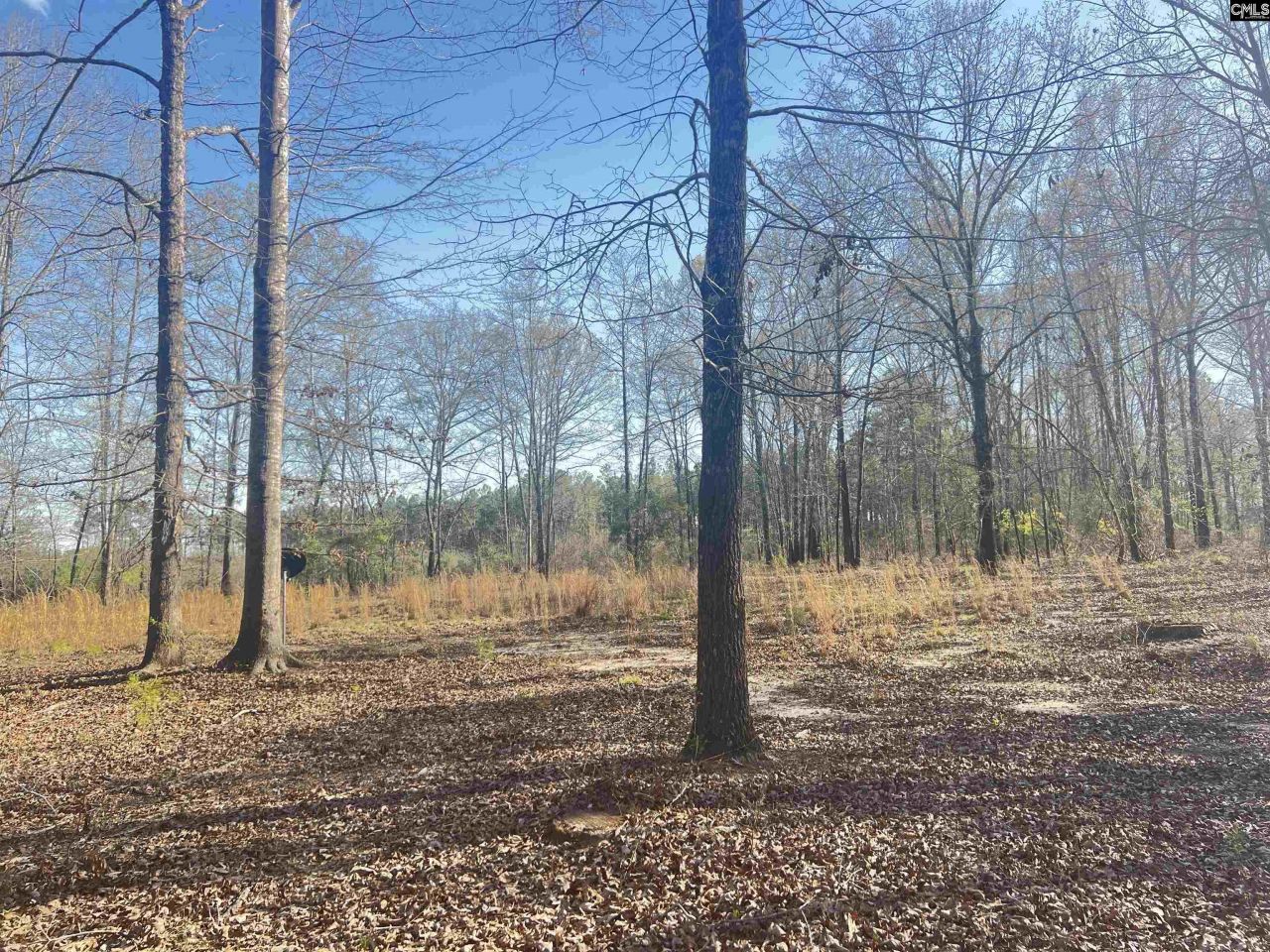 138 Riptide Road Photo 4